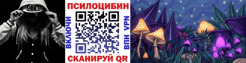 Псилоцибиновые грибы GOLDEN TEACHER  Купить закладки  Краснозаводск 