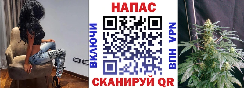 МАРИХУАНА сатива  Купить где  Краснозаводск 